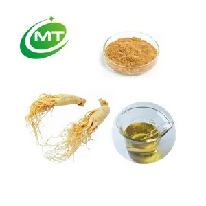 ISO Factory Supply High Quality Free Sample Ginsenosides Organic Ginseng Root Extract