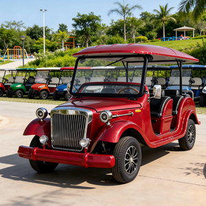 Vehículo Eléctrico Clásico Vintage de 8 Plazas para Recorridos Turísticos en Zonas Panorámicas - Product Image 1