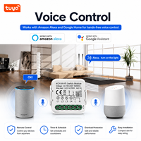TUYA Módulo de Interruptor de Relé Inteligente Wi-Fi de 1/2/3/4 Gang con Control Remoto Inalámbrico, ABS, Automatización del Hogar, Voz Alexa