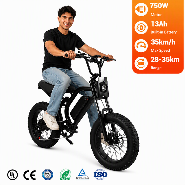 Wholesale 750W Fat Tire Electric Bike 48V 13Ah Moped Style Ebike with Hydraulic Brakes