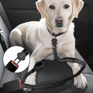 Laisse de dressage pour <span class=keywords><strong>chien</strong></span> de haute qualité, réfléchissante, solide, en nylon imperméable, élastique, télescopique, longue, avec clip rotatif en forme de grenouille, durable - Product Image 4