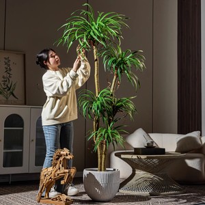 Árbol de Dracaena Artificial para Espacios Decorativos Interiores, Planta <span class=keywords><strong>Verde</strong></span> Grande en Maceta para Decoración de Sala de Estar, Oficina y Hogar - Product Image 2