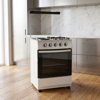 Cuisinière à gaz avec four pour la cuisine à domicile, 2 brûleurs à gaz, 2 plaques électriques, cuisinière avec four, corps blanc, appareil de cuisson multifonction
