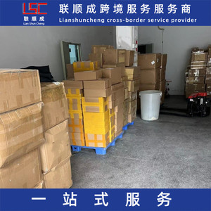 Lianshuncheng Philippines Ligne dédiée Logistique de fret international Marchandises diverses Expédition transfrontalière Shenzhen vers les Philippines - Product Image 3
