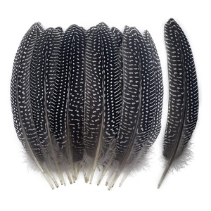 Pluma <span class=keywords><strong>de</strong></span> Gallo <span class=keywords><strong>de</strong></span> Guinea Natural <span class=keywords><strong>de</strong></span> 15-20 cm, <span class=keywords><strong>de</strong></span> Alta Calidad y al <span class=keywords><strong>Precio</strong></span> Más Bajo, Venta al Por Mayor, Fabricante Chino - Product Image 1