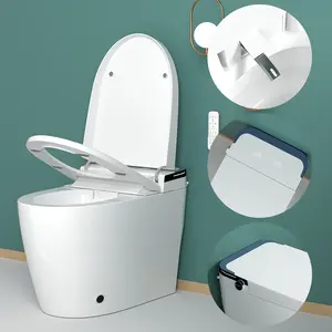 Sanitary Ware Ceramic One Piece Commode Bath Intelligent Toilet Bowl Smart Bidet Toilet
