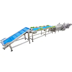 Automatic orange pear and apple cleaning and processing line is on sale
