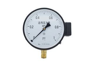 Manometro a filettatura radiale Standard Y100 M20 * 1.5 4 Modulare pollici G1/2 ZG1/2 100mm dimensioni manometro - Product Image 2