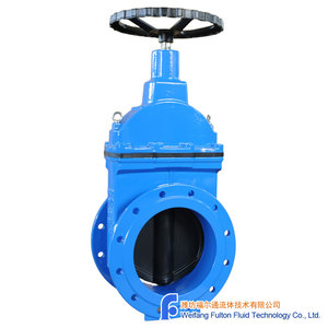 Vanne à opercule en fonte ductile à joint souple avec volant DN300 PN10 GGG40 Certifiée GSK & WRAS EN558 Série 14 F4 DN300 PN10 Design Acc. - Product Image 3