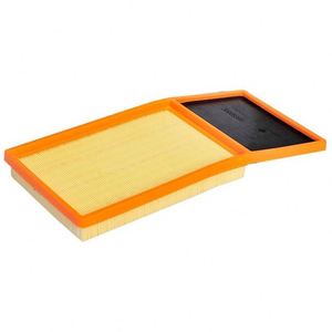 Filtre à air pour 30005099 - Product Image 1