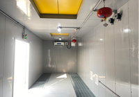 Armoire de stockage extérieure pour déchets dangereux SCEELAB en métal, pour usage industriel, scolaire et pharmaceutique