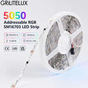 Digital Full Color <b>RGB</b> LED Strip SM16703 SMD5050 DC24V 60 LEDs/m 10 Pixels/m 10mm PCB 14.4W/m Segment <b>Control</b> for Signage - Product Image 1