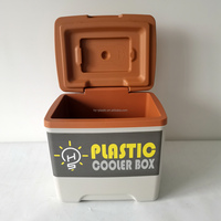 Coffre à glace en plastique portable 13L pour boissons en plein air