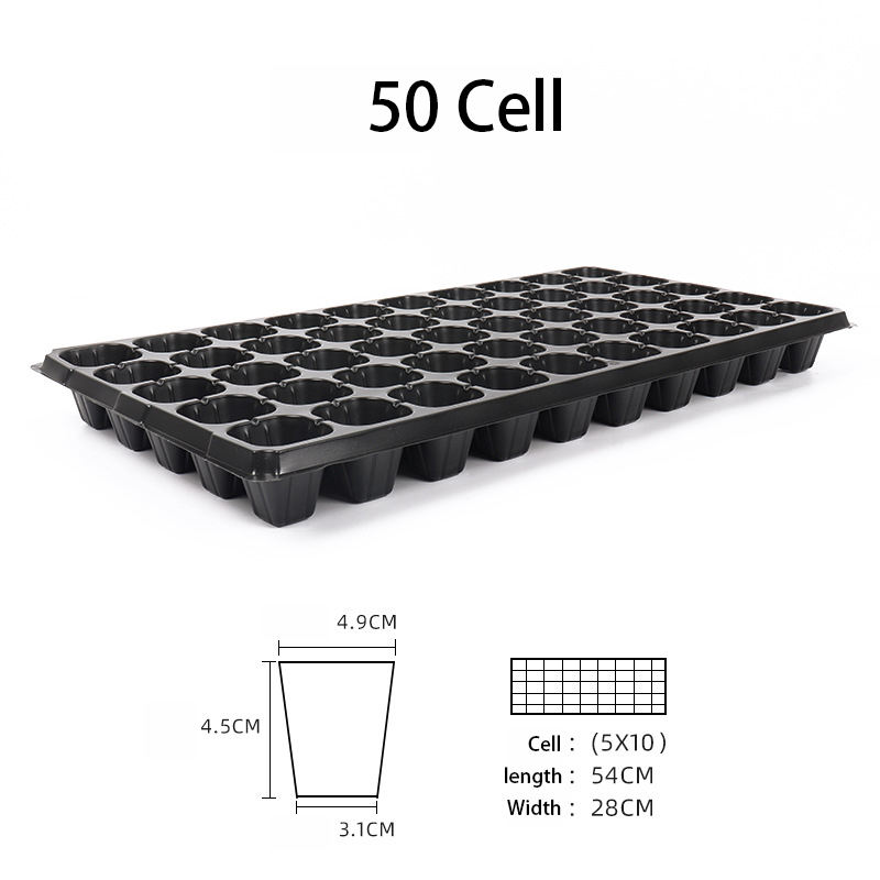 negro 50