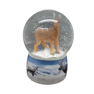 Custom snow globe,Music Box Gift for Kids and Birthday Festival Musical Gift Home Office Studio Decoration