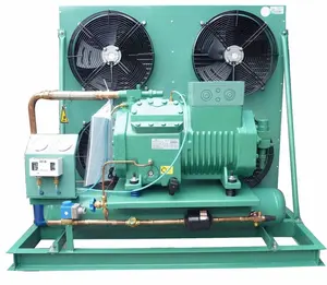 Factory 3hp 5hp 6hp 10hp Germany Air Cooled Compressor Condensing Unit for Cooling System refrigeration