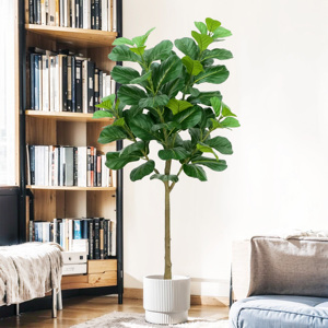 6FT nhân tạo mô phỏng lớn fiddle lá vả cây <span class=keywords><strong>ficus</strong></span> pandurata nhà máy Bonsai Trong PE cho trong nhà văn phòng nhà Mall trang trí nội thất - Product Image 2