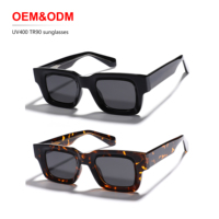 Rétro nouveauté OEM ODM haute qualité TR90 monture TAC lentilles unisexe lunettes de soleil UV400 lunettes de soleil polarisées personnalisées