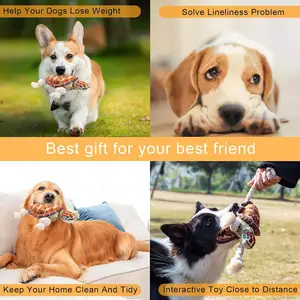 Wholesale Turtle Shaped Pet Interactive Rope Toys Dog Teeth Grinding Training Squeaky Dog Plush Toy Tug Of War Dog Chew Toy