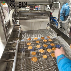 Machine de <span class=keywords><strong>fusion</strong></span> et de recouvrement automatique de chocolat haute précision pour la production en atelier de biscuits, amandes, noix de cajou et snacks - Product Image 2