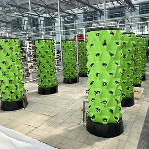 Neues Design Ananas-Haus Gewächshaus plattiert Anbauturm hydroponische vertikale Ackerfräsen-Systeme mit Led-Licht