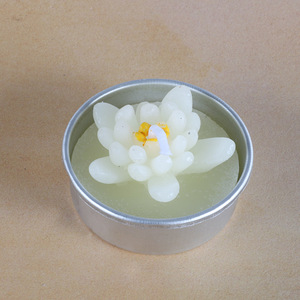 Eco-friendly Soy Wax Scented candle art <b>set</b> <b>Essential</b> <b>Oil</b> Candle Handmade succulent plants candle - Product Image 4