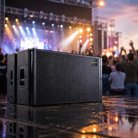 Système de sonorisation actif avec amplificateur DSP, double caisson de basses de 18 pouces, 1600 W, pour spectacles en plein air