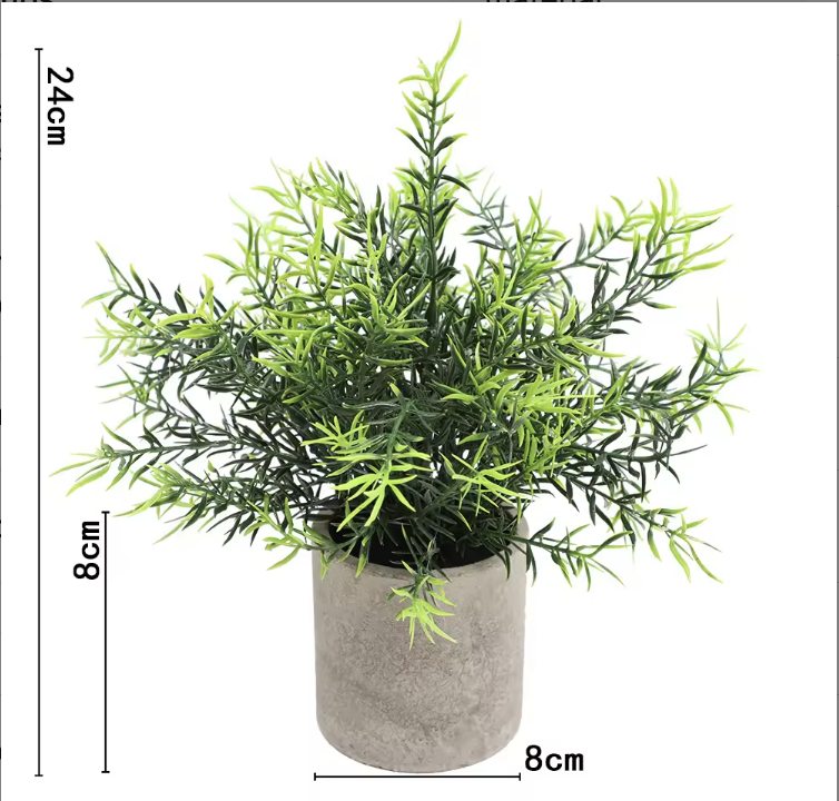 Romarin sans poudre ahe372-068