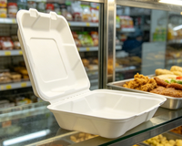Boîte alimentaire en bagasse de canne à sucre de 8 pouces avec couvercle, biodégradable, recyclable, micro-ondable, pour restaurant, pique-nique
