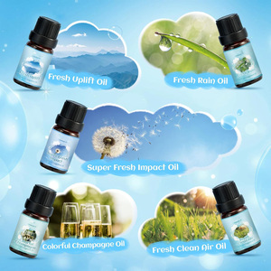 Lot de 10 échantillons d'huiles parfumées Clean Pro, éco-responsables, naturelles, longue durée, senteur fraîche et fruitée, pour l'approvisionnement direct usine - Product Image 5