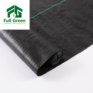 Géotextile tissé 100 g/m², anti-herbe, couverture de sol agricole, tapis anti-mauvaises herbes, plastique PP/PE pour bâche, largeur 2 m, Shandong - Product Image 2