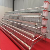 Jaula de acero automática de 4 niveles para gallinas ponedoras de 120, 128 y 160 aves, para granjas avícolas