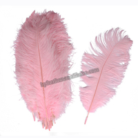 Plumes d'autruche colorées en gros pour la décoration de tables de mariage et de fêtes