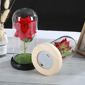 Romantico eterno rosa rossa in cupola di vetro con caldo bianco LED lucine per sempre amore regalo per anniversario compleanno di San Valentino - Product Image 2
