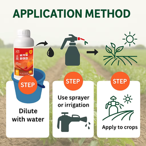 Fertilizante Orgânico para Vegetais - Fórmula NPK Solúvel em Água para Pimenta, Tomate e Culturas Folhosas (Garrafa de 1kg / Fornecimento Direto da Fábrica) - Product Image 6