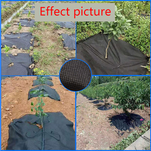 Malla Antihierbas Ecológica <span class=keywords><strong>2021</strong></span>, Nueva Malla de Jardinería, Transpirable y Permeable al Agua, Degradable en 3-5 Años - Product Image 5