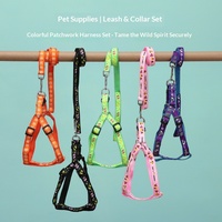 Venta Directa de Fábrica: Correa Extensible de Lujo para Mascotas, Conjunto de Arnés para Perros, Color Personalizado para Perros y Gatos, Cadena para Perros, Suministros para Mascotas