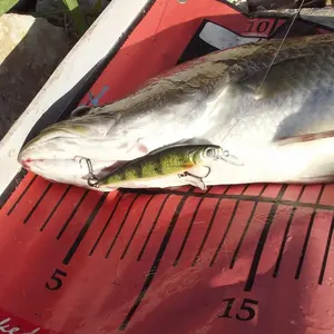 Umpan pancing ikan kecil, 150mm 40g umpan keras untuk memancing ikan Bass