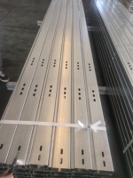 Structure de montage photovoltaïque au sol en acier ZM pré-perforé et rainuré pour rails solaires
