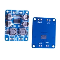 Module amplificateur audio numérique mono 60W DC 12V-24V avec puce originale TPA3110 TPA3118 28/32 broches