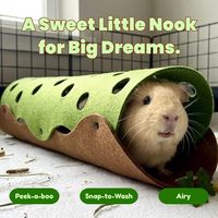 Tunnel cachette vert pour cochon d'Inde, grotte tubulaire en feutre lavable pour petits animaux, accessoires de cage pour rongeurs