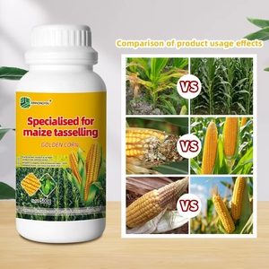 Fertilizante especial para mazorcas de maíz, evitando hojas amarillas y alojamiento; Fertilizante líquido de maíz dorado - Product Image 3
