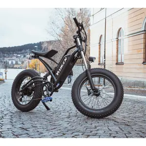 모토 electrica 1000W 750W 후면 허브 모토 자전거 20 인치 fatbike 전기 자전거 ebike 48V 13Ah 전기 산악 자전거 판매