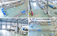 CE-gecertificeerde kool-schilmachine, snijmachine, wasmachine, industriële coleslaw-verwerkingsmachine, lijn voor het reinigen van paarse kool