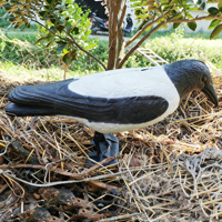 Wholesale Crow Decoys Black Feathered Crow Decoys Standing Simulation Plastic Raven Statue Props for Garden Decoration