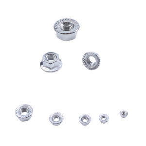 Fabricantes de Porcas, Porcas Hexagonais de Aço Inoxidável, Porca Hexagonal com Flange, Acabamento de Passivação, Rosca Direita - Product Image 6