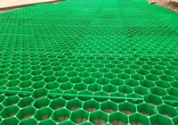 Grille de pavage perméable en plastique HDPE pour la stabilisation du sol des parkings et des aménagements paysagers