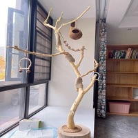 Support décoratif pour cage à oiseaux en forme de branche d'arbre, perchoir pour perroquet, poteau de perchoir, fourche d'arbre, support de lampe sur pied