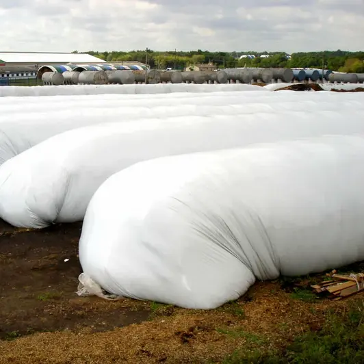 Grain Storage Sleeves: The Innovative Solution for Wholesale Grain Storage Needs