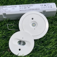 DALi2 LED Notfall-Downlight mit Manueller und Selbsttest-Funktion, Hoher Lumenwert 200lm, CB CE-Zertifiziert für Zuhause, Wohnung, Büro, Hotel, Flur
